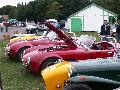 Locust Enthusiasts Club - Locust Kit Car - Harrogate 2006 - 005.jpg